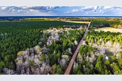 000 Holly Grove Road, Livingston, TX 77351 - Photo 12