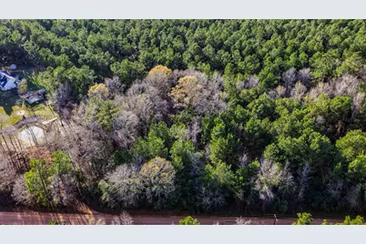 000 Holly Grove Road, Livingston, TX 77351 - Photo 14
