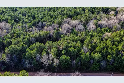 000 Holly Grove Road, Livingston, TX 77351 - Photo 16