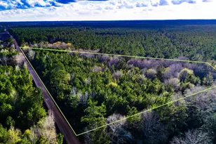 000 Holly Grove Rd, Livingston, TX 77351 - Photo 1