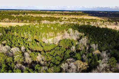 000 Holly Grove Road, Livingston, TX 77351 - Photo 22