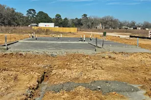 253 Elm Spring Dr, Hockley, TX 77447 - Photo 2