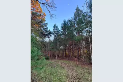 251 Pr 7701, San Augustine, TX 75972 - Photo 8