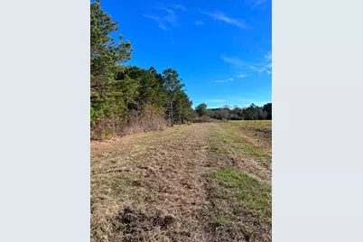 251 Pr 7701, San Augustine, TX 75972 - Photo 6