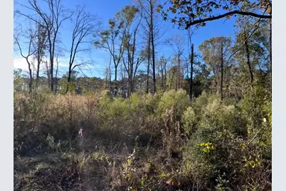 251 Pr 7701, San Augustine, TX 75972 - Photo 4