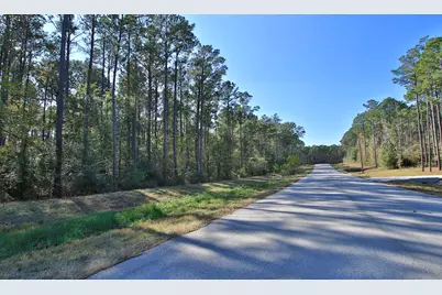 12-22-58 Grey Feather Road, Huntsville, TX 77340 - Photo 6