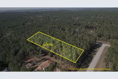 12-22-58 Grey Feather Road, Huntsville, TX 77340 - Photo 2