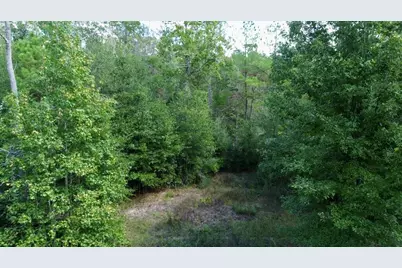 403 Fm 2245, Kirbyville, TX 75956 - Photo 16