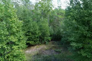 403 FM 2245, Kirbyville, TX 75956 - Photo 16