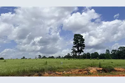 Lot 247 Meadow View Drive, Hillister, TX 75979 - Photo 1