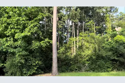 129 Pine Branch Drive, Montgomery, TX 77356 - Photo 4