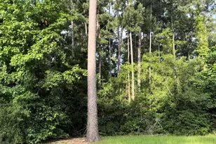 129 Pine Branch Dr, Montgomery, TX 77356 - Photo 4