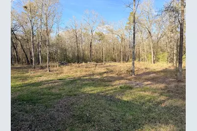 306 Indian Oaks, Livingston, TX 77351 - Photo 2