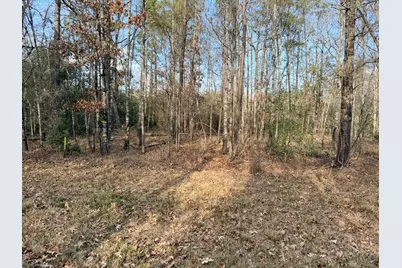 306 Indian Oaks, Livingston, TX 77351 - Photo 6