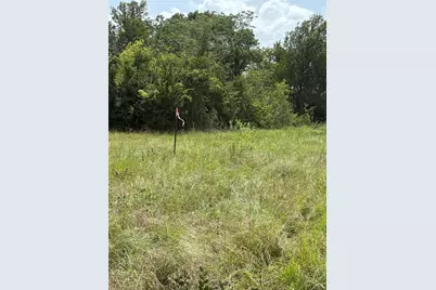 10265 Fm 1774 Tract B1, Plantersville, TX 77363 - Photo 10
