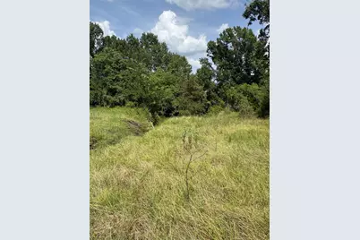 10265 Fm 1774 Tract B1, Plantersville, TX 77363 - Photo 14