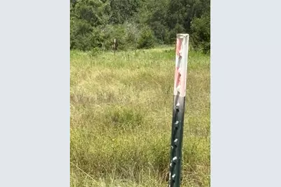 10265 Fm 1774 Tract B1, Plantersville, TX 77363 - Photo 8