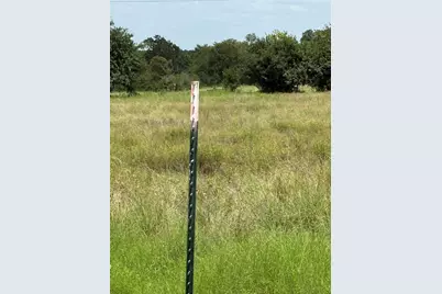 10265 Fm 1774 Tract B1, Plantersville, TX 77363 - Photo 6