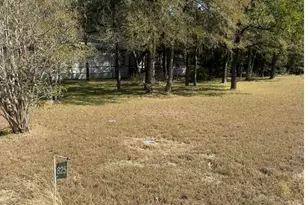 825 Mallard Dr, Caldwell, TX 77836 - Photo 12