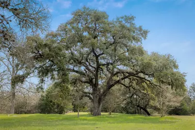 2407 E State Highway 159, Fayetteville, TX 78940 - Photo 34