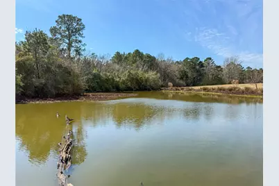 0004 County Road 2780, Woodville, TX 75979 - Photo 20