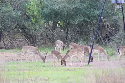 15184 Fm 2620, Bedias, TX 77831 - Photo 50