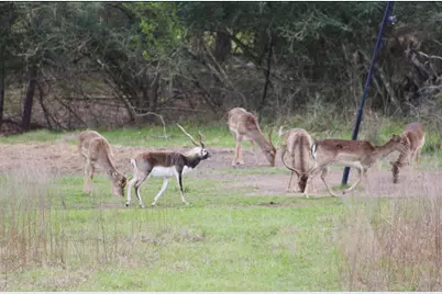 15184 Fm 2620, Bedias, TX 77831 - Photo 42