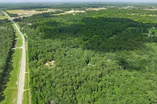 16852 Old Houston Rd, Conroe, TX 77302 - Photo 4