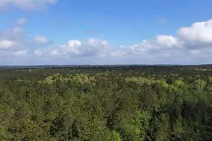 1648 Timber Road 23 N, Chester, TX 75936 - Photo 1