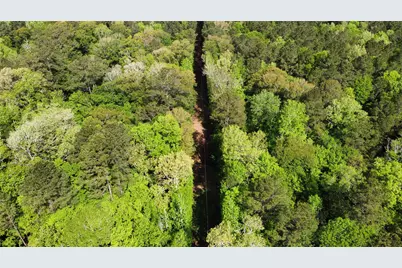 1648 Timber Road 23 N, Chester, TX 75936 - Photo 8