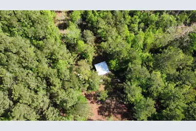 1648 Timber Road 23 N, Chester, TX 75936 - Photo 14