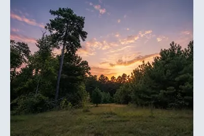 15881 Wood Grove Way, Willis, TX 77378 - Photo 2