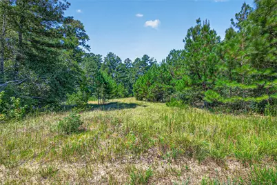 15881 Wood Grove Way, Willis, TX 77378 - Photo 12