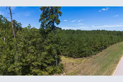 15881 Wood Grove Way, Willis, TX 77378 - Photo 10