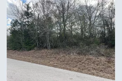 Tbd Iron Bridge Road, Burton, TX 77835 - Photo 1