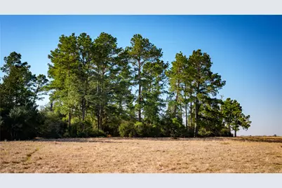 10999 Fm 230, Lovelady, TX 75851 - Photo 12