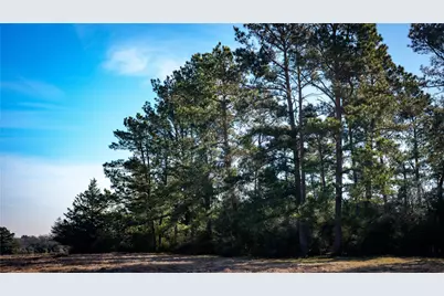 10999 Fm 230, Lovelady, TX 75851 - Photo 18