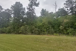 0 FM247, Huntsville, TX 77320 - Photo 1