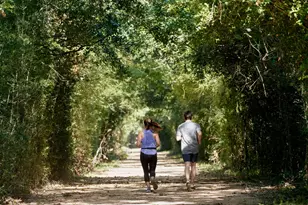10814 Day Jassamine Wy, Cypress, TX 77433 - Photo 32