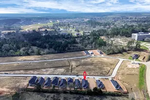 19584 Stripe Hl Bnd, Montgomery, TX 77356 - Photo 6