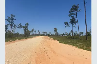 142 Dove Hill Circle, Livingston, TX 77351 - Photo 6