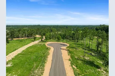 142 Dove Hill Circle, Livingston, TX 77351 - Photo 14