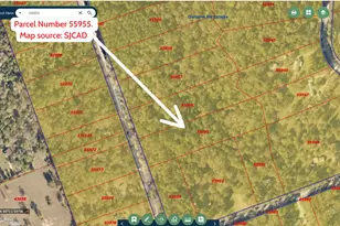 0000 Saddle Surrey Ln, Coldspring, TX 77331 - Photo 8