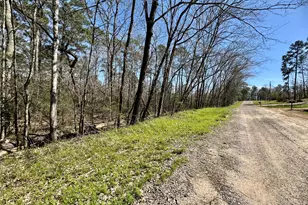 0000 Saddle Surrey Ln, Coldspring, TX 77331 - Photo 2