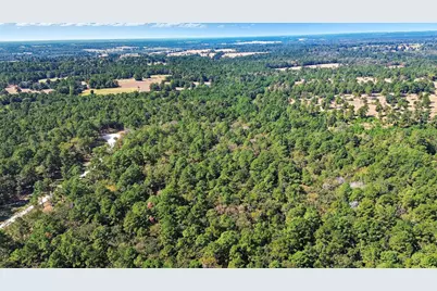 60 County Road 114, Centerville, TX 75833 - Photo 12