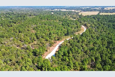 60 County Road 114, Centerville, TX 75833 - Photo 18