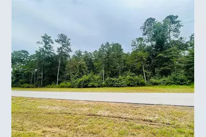 15591 Wood Grove Way, Willis, TX 77378 - Photo 4