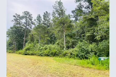 15591 Wood Grove Way, Willis, TX 77378 - Photo 2