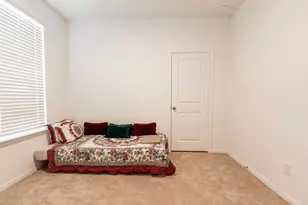 336 Paso Fino Dr, Alvin, TX 77511 - Photo 28