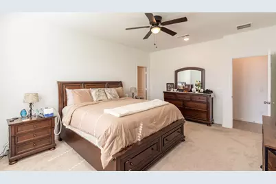 336 Paso Fino Drive, Alvin, TX 77511 - Photo 30